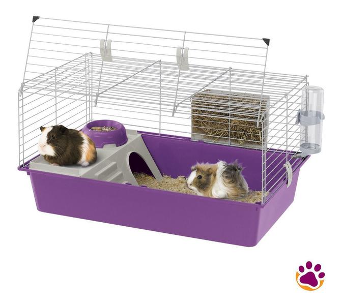 Imagem de Gaiola Para Roedores Chinchila Hamster Porquinho da Índia Cavie 80 - Ferplast