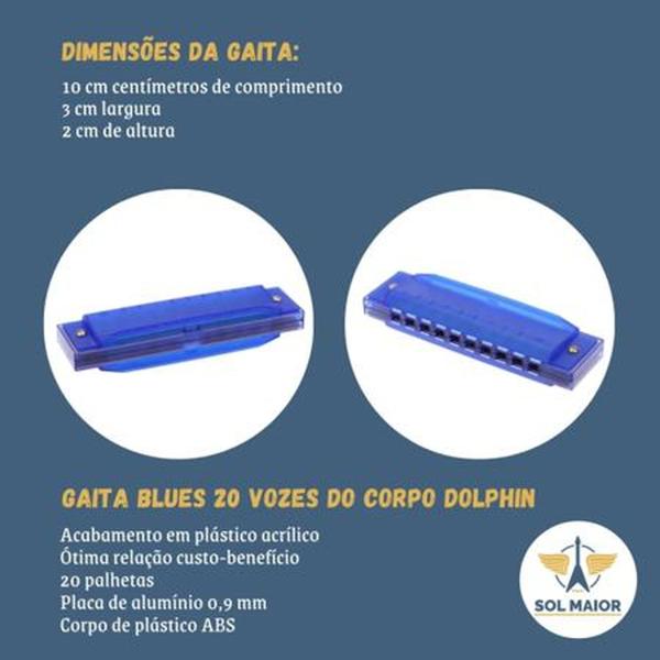 Imagem de Gaita Diatônica Dolphin Blues 20 Vozes Cores Variadas