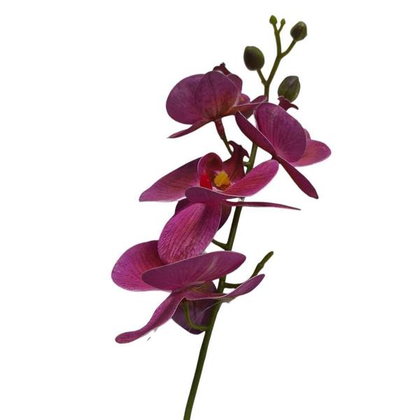 Imagem de Galho mini orquídea phalea - winmax  