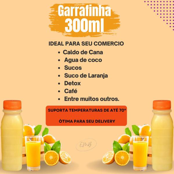 Imagem de Garrafa Para Delivery 300ml Descartavel Tampa Lacre - 50und