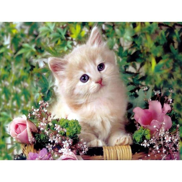 Gato Gatinho Papel De Arroz Para Bolos 1 - Mec Art Imagem de Gato Gatinho Papel De Arroz Para Bolos 1