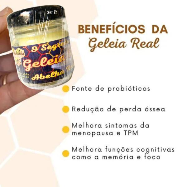 Geleia Real In Natura 100% Pura Pote De Vidro De 30 Gramas - Bees Buzz Imagem de Geleia Real In Natura 100% Pura Pote De Vidro De 30 Gramas