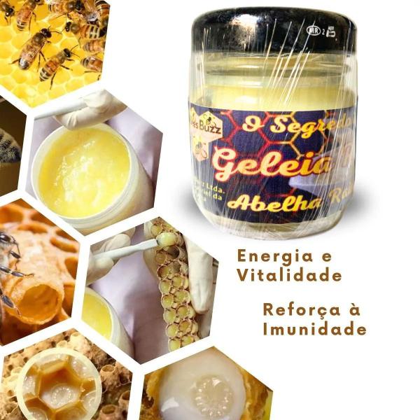 Geleia Real In Natura 100% Pura Pote De Vidro De 30 Gramas - Bees Buzz Imagem de Geleia Real In Natura 100% Pura Pote De Vidro De 30 Gramas