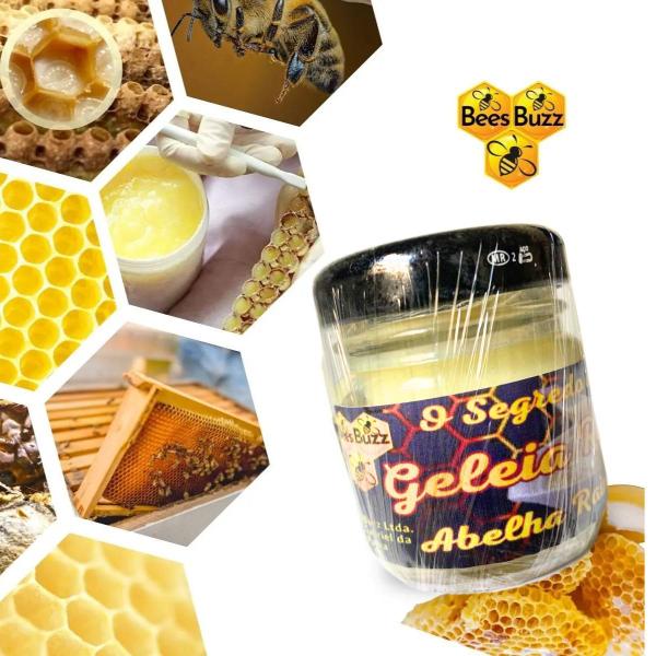 Geleia Real In Natura 100% Pura Pote De Vidro De 30 Gramas - Bees Buzz Imagem de Geleia Real In Natura 100% Pura Pote De Vidro De 30 Gramas