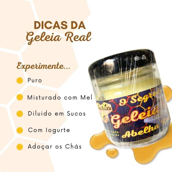 Geleia Real In Natura 100% Pura Pote De Vidro De 30 Gramas - Bees Buzz Imagem de Geleia Real In Natura 100% Pura Pote De Vidro De 30 Gramas
