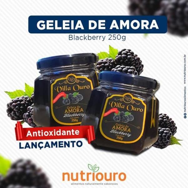 Imagem de Geleia Villa Ouro Sabor Amora 250gr