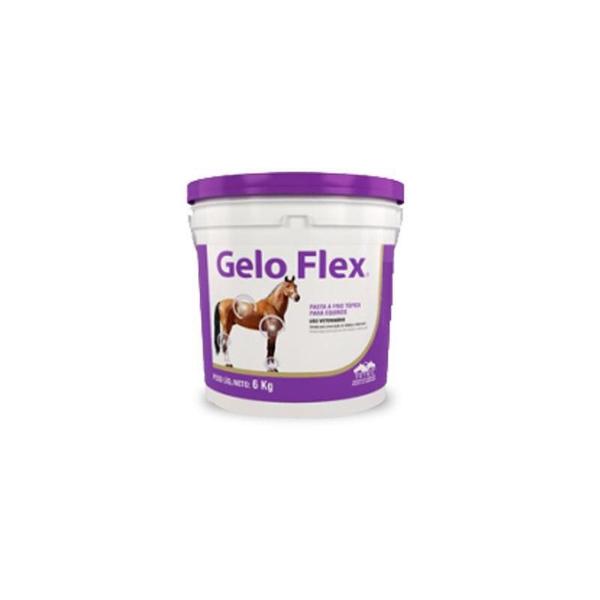 Imagem de Gelo Flex - 6Kg