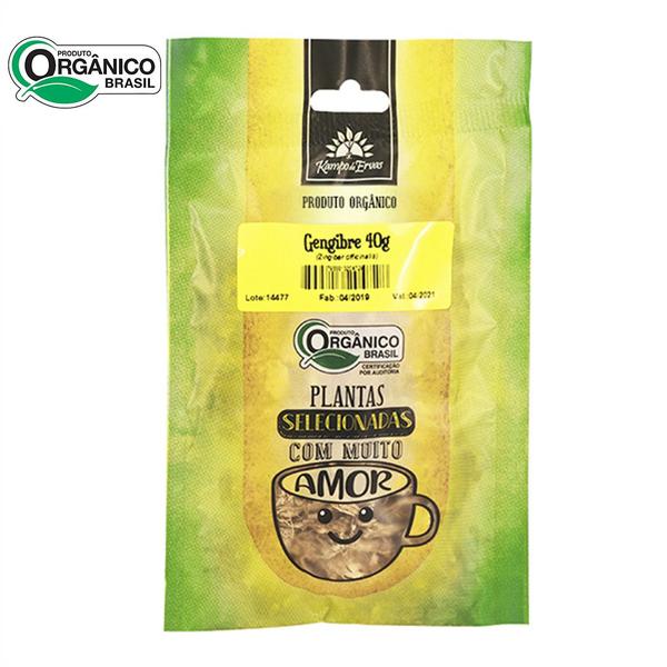 Gengibre Orgânico In Natura Desidratado 40g Kampo De Ervas Imagem de Gengibre Orgânico In Natura Desidratado 40g Kampo De Ervas