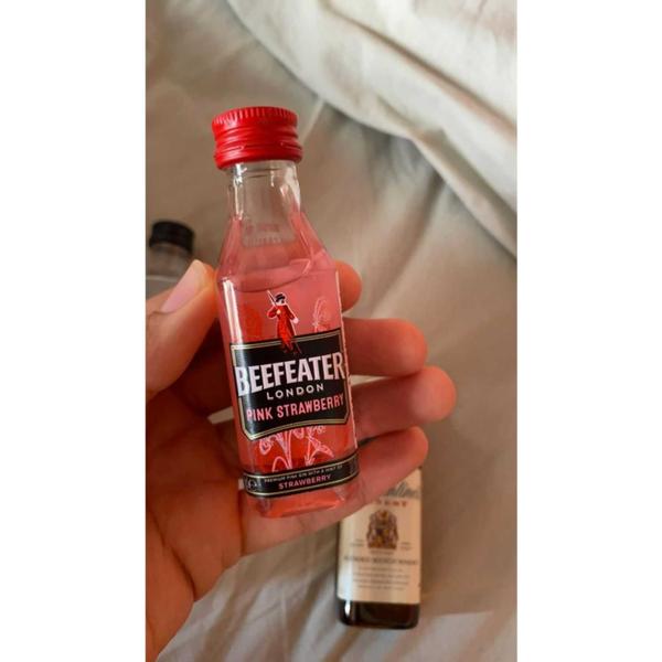 Imagem de Gin beefeater miniatura pink 50 ml