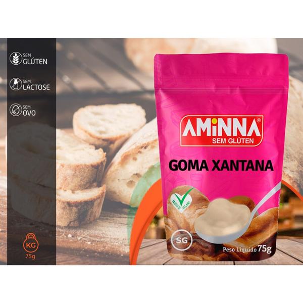 Goma Xantana s/Glúten 75g - Aminna - Aminna Imagem de Goma Xantana s/Glúten 75g - Aminna