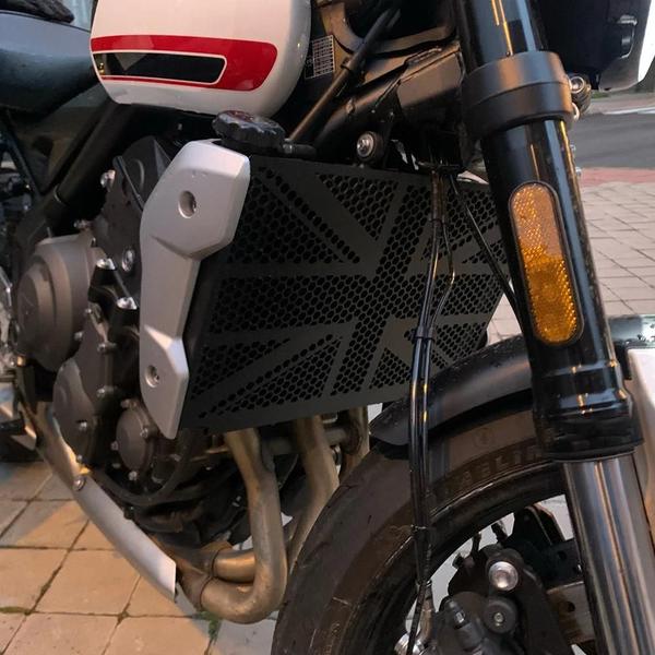 Imagem de Grade Protetor de Radiador para Triumph Trident 660 (2021-2022)