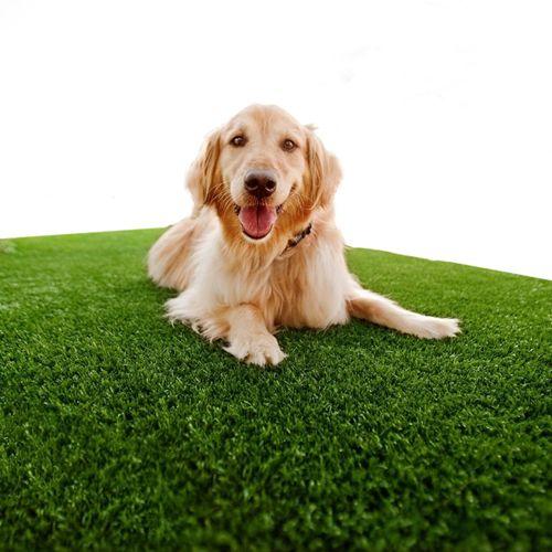 Grama Sintética 12mm (3m²) Petgarden 2,00m x 1,50m - BECSHOP ONLINE Imagem de Grama Sintética 12mm (3m²) Petgarden 2,00m x 1,50m