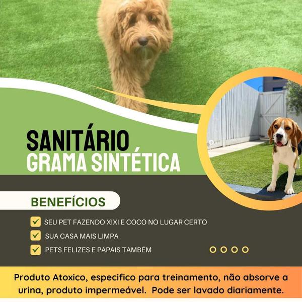 Grama Sintética 12mm (3m²) Petgarden 2,00m x 1,50m - BECSHOP ONLINE Imagem de Grama Sintética 12mm (3m²) Petgarden 2,00m x 1,50m