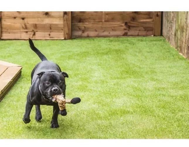 Imagem de Grama Sintética Varanda Sacada Plantas Artificiais 2X10 20M