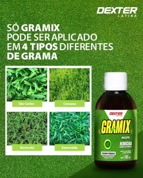 Imagem de Gramix 100ml Grama Esmeralda Bermuda São Carlos Jardinagem Amadora