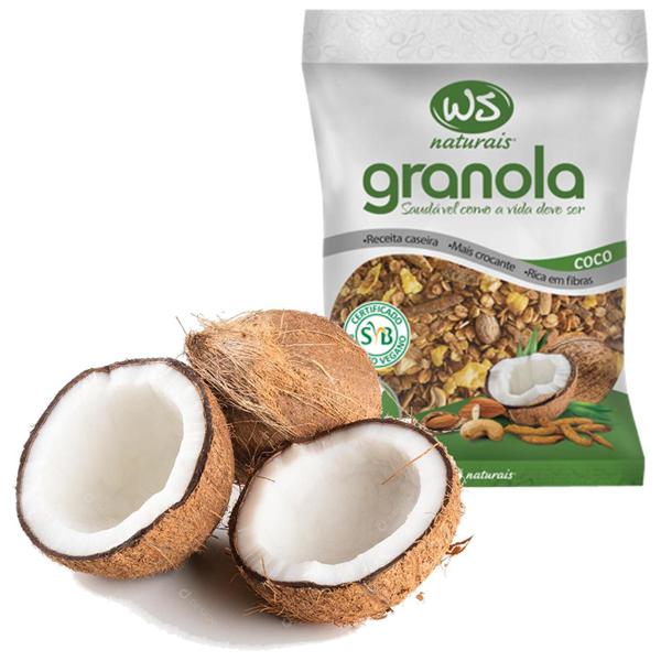 Granola Com Coco Ws Naturais 500G - Ws Paladar Imagem de Granola Com Coco Ws Naturais 500G