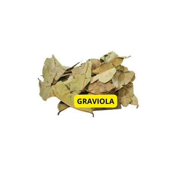 Imagem de Graviola Folhas 1Kg -Anona muricata