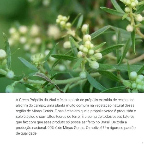 Imagem de Green Própolis Verde Liquido 30ml Vital Atman