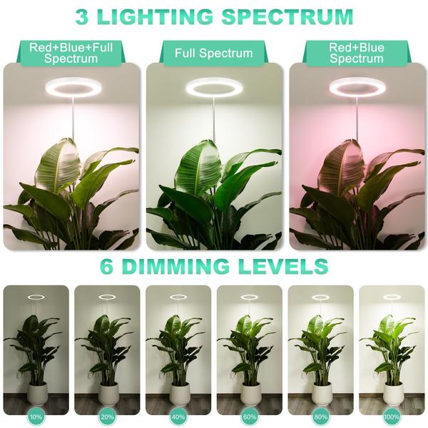 Imagem de Grow Light LORDEM 10 para plantas de interior Full Spectrum x2