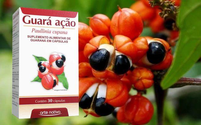 Imagem de Guaraná 500mg 30 Cápsulas 17,5mg De Cafeína - Arte Nativa