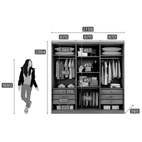 Imagem de Guarda Roupa 6 Portas e 6 Gavetas New Vértice/Messina Cumaru/Fendi - Novo Horizonte