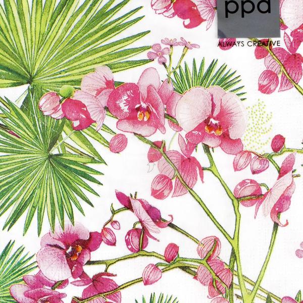 Imagem de Guardanapo Para Decoupage Paperdesign Com 2 Unidades Orchids & Palms  1332714