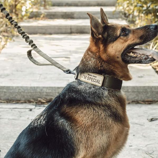 Imagem de Guia Anti-Impacto Com Cabo De Elasticidade Refletiva Alça de Segurança Cachorro Grande Médio LR-0268