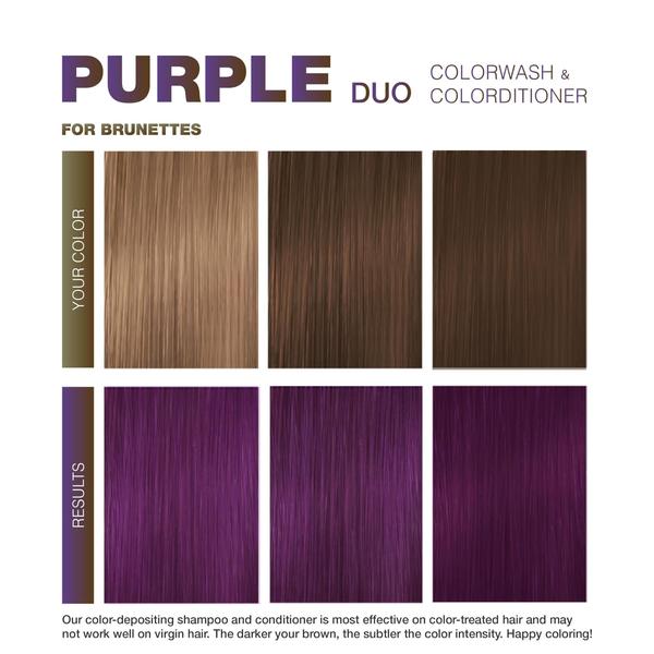 Imagem de Hair Celeb Luxury Viral Purple for Brunettes Duo