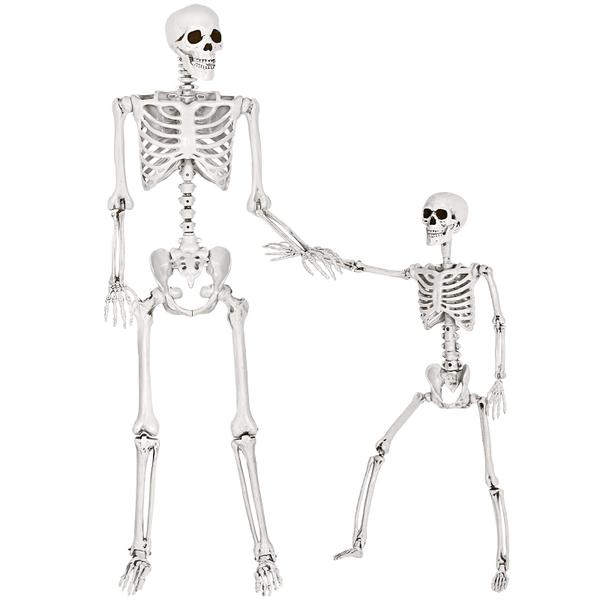 Imagem de Halloween Skeleton SpringFlower, corpo inteiro, 165 cm e 90 cm