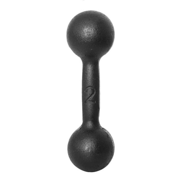 Imagem de Halter Bola 02kg Pintado Preto Ferro Fundido Academia Musculação