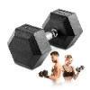 Imagem de Halter Dumbbell Emborrachado Sextavado Cromado 17,5kg - Uni.