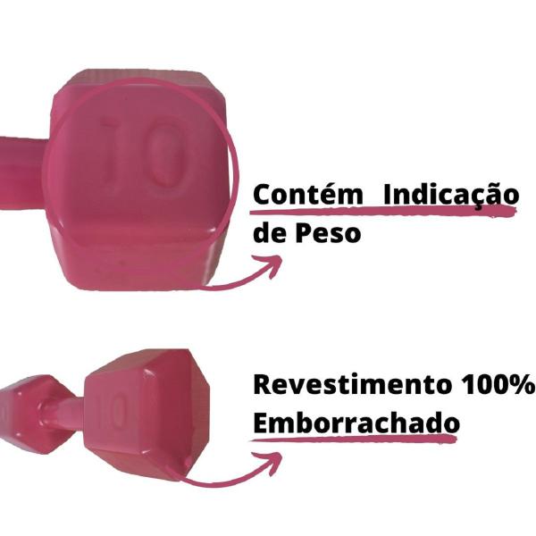 Imagem de Halter Sextavado Emborrachado de Peso Academia Funcional 10Kg Rosa