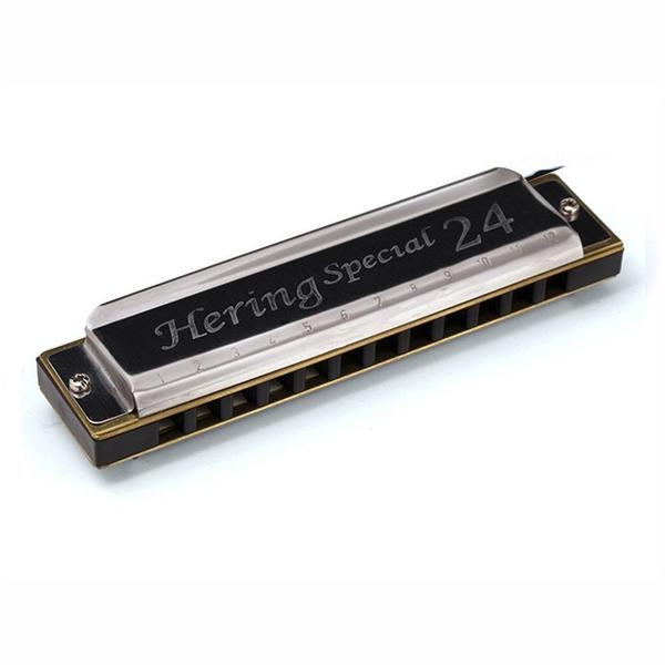 Imagem de Harmonica Special 24 8124C - Hering