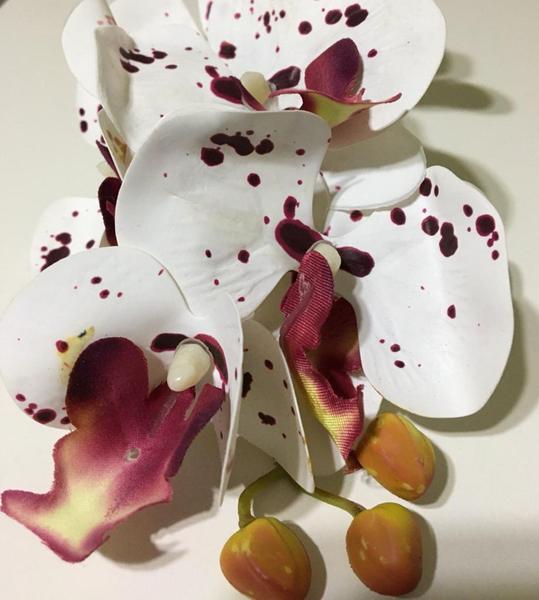 Imagem de Haste artificial de orquídea toque real X6 cabeças