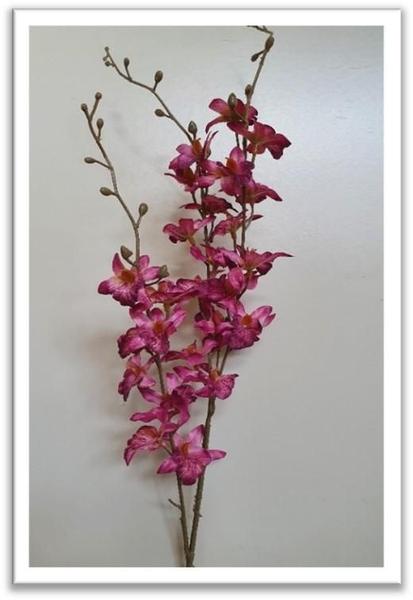 Imagem de Haste de Flor de Orquidea Cymbidium Pink 90cm