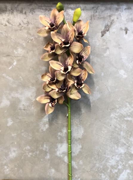 Imagem de Haste de Orquídea Cymbidium 3D - 67x13x6cm - Marrom Ocre