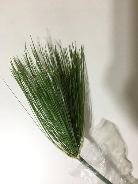Imagem de Haste de papiro pequena artificial verde