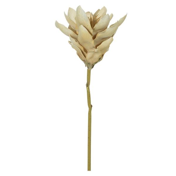 Haste Magnólia Eva Palha 62cm - D. E. A. D. A. Imagem de Haste Magnólia Eva Palha 62cm