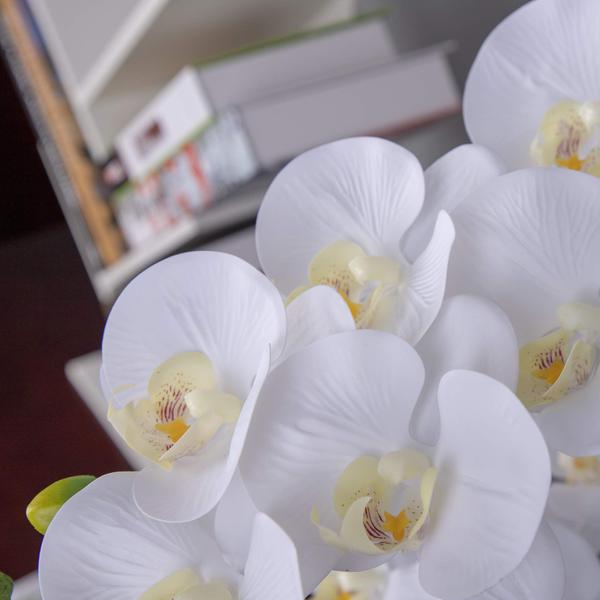 Hastes de orquídeas artificiais Real Touch Latex Faux 96 cm - Fnize Imagem de Hastes de orquídeas artificiais Real Touch Latex Faux 96 cm