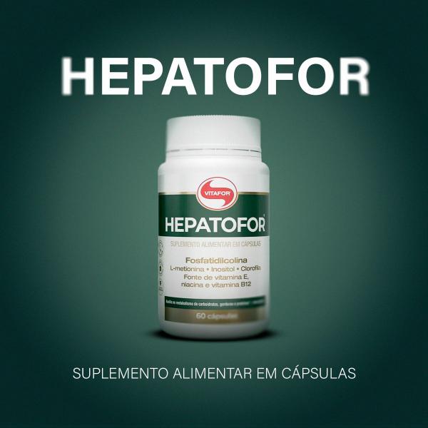 Imagem de Hepatofor 60 capsulas 1000mg - vitafor