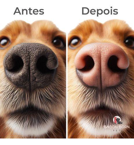 Imagem de Hidratante para Pets Cães Cachorros -Hidradante para focinho, Hidrata patas e Limpa Patas Pet Clean