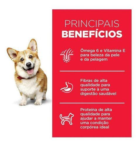 Hills adulto pedacos pequenos 2.4kg Imagem de Hills adulto pedacos pequenos 2.4kg