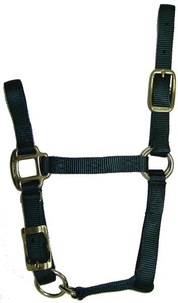 Horse Halter Hamilton, desmame ajustável de 3/4 polegadas/caneta grande Imagem de Horse Halter Hamilton, desmame ajustável de 3/4 polegadas/caneta grande