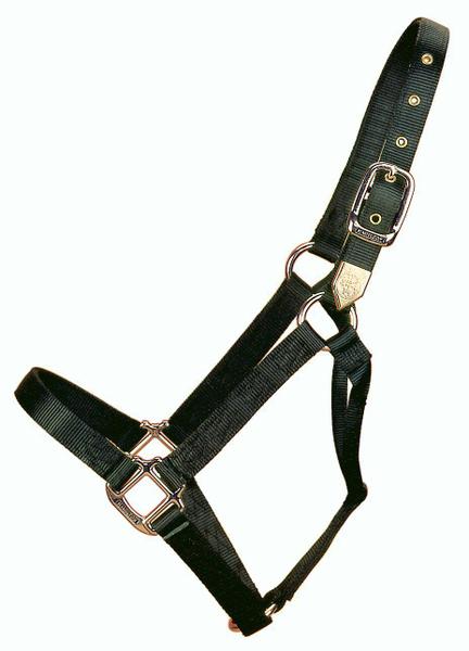 Imagem de Horse Halter Hamilton Nylon de 1 polegada preto 363 a 499 kg