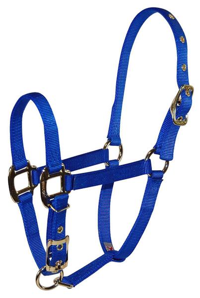 Imagem de Horse Halter Hamilton para animais de estimação e equinos em nylon ajustável azul