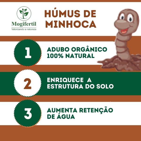 Humus De Minhoca Sc 10 Kg - Mogifertil Imagem de Humus De Minhoca Sc 10 Kg