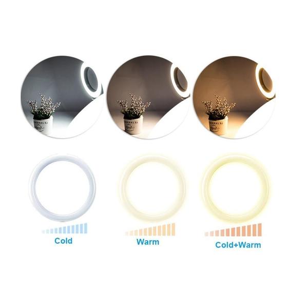 Imagem de Iluminador Circular De Led Ring Light 26Cm Tripé - Apexel