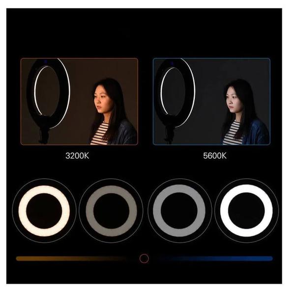 Imagem de Iluminador Circular Led Ring Light Tolifo 19" Bi-Color 60W Profissional (Fonte Bivolt)