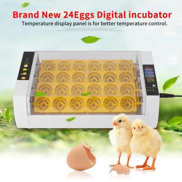 Imagem de Incubadora automática de ovos Ovos Small Birds 24 Ovos 220-2