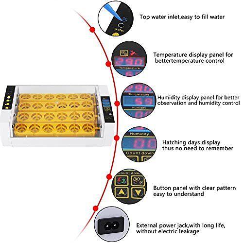 Imagem de Incubadora de ovos Yosoo 24 Eggs com controle automático de temperatura